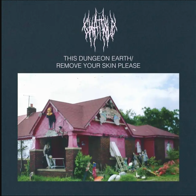 Chat Pile - This Dungeon Earth / Remove Your Skin Please | Flenser Records (FR151LPUKX) - main Chat Pile - This Dungeon Earth / Remove Your Skin Please | Flenser Records (FR151LPUKX) - main