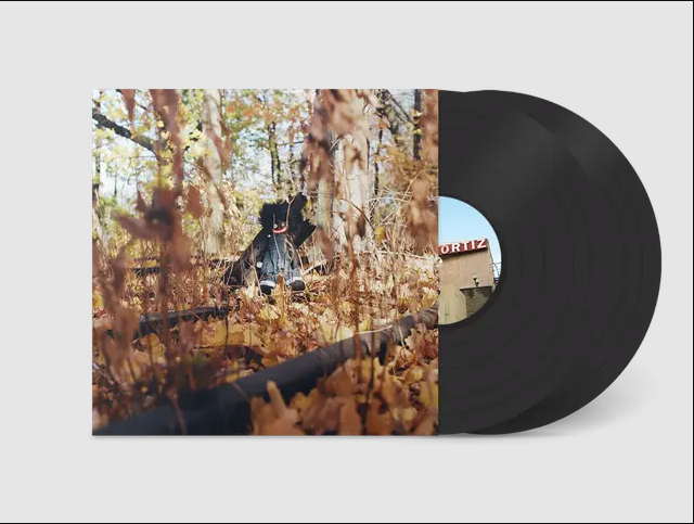 Billy Woods - GOLLIWOG | Rhymesayers Entertainment (BWZ804LP)