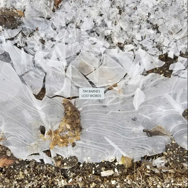 Tim Barnes - Lost Worlds | Quakebasket (QB29) - main Tim Barnes - Lost Worlds | Quakebasket (QB29) - main