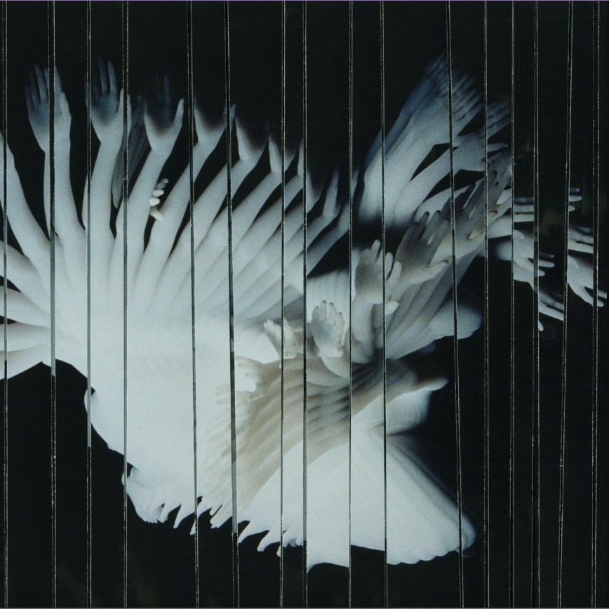 Scaler - Ednlessly | Black Acre (ACRELP018) - main Scaler - Ednlessly | Black Acre (ACRELP018) - main