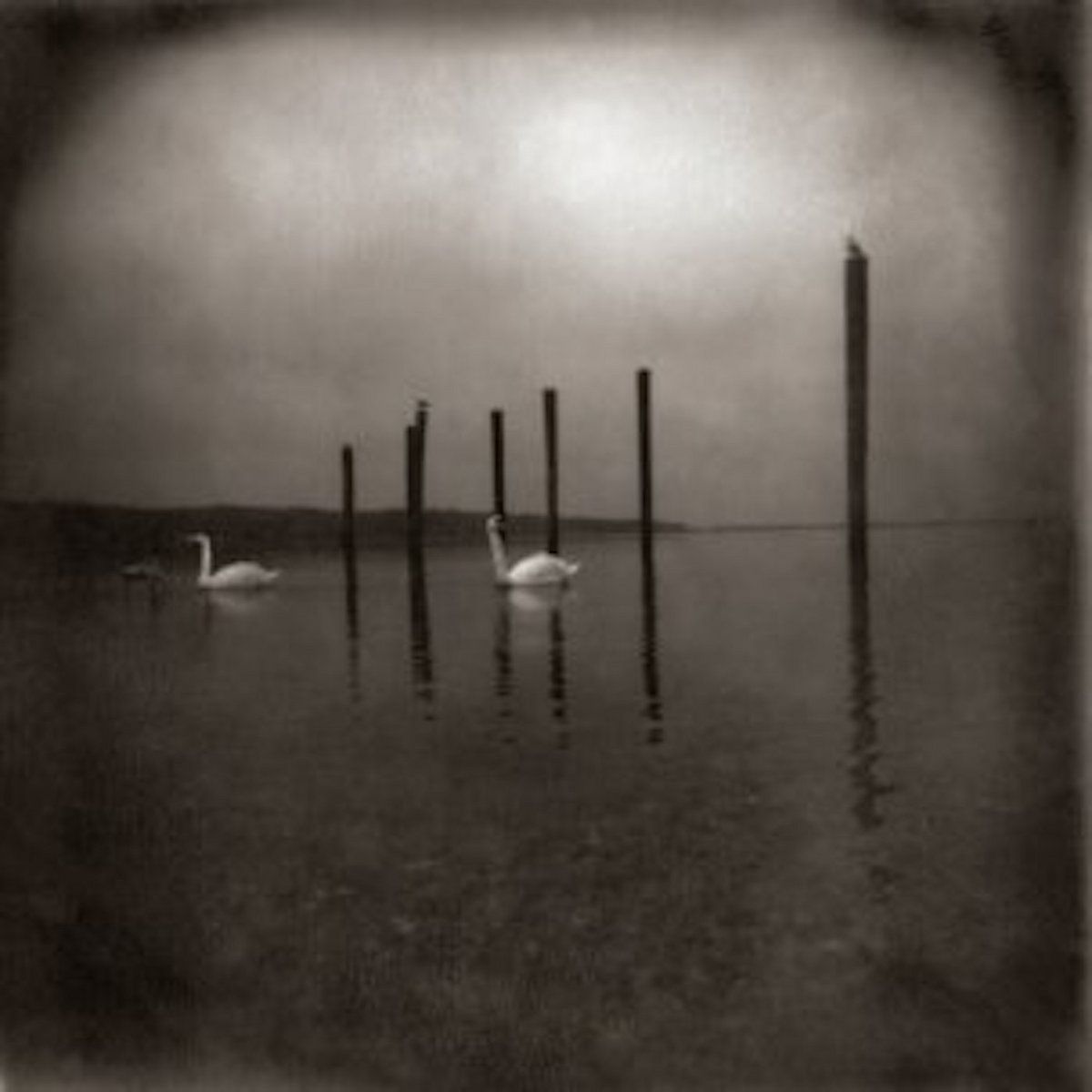 Om - Conference Of The Birds | Holy Mountain (5QXF3LP) - main