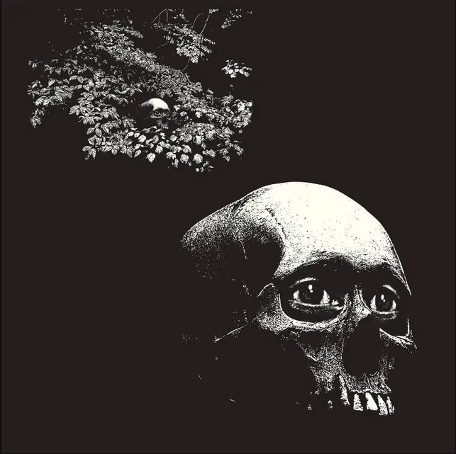 Thee Oh Sees - A Foul Form | Castle Face (CF 147) Thee Oh Sees - A Foul Form | Castle Face (CF 147)