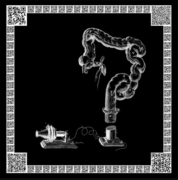 Hastings Of Malawi - Choreological Exchanges | Sub Rosa (SRV529) Hastings Of Malawi - Choreological Exchanges | Sub Rosa (SRV529)