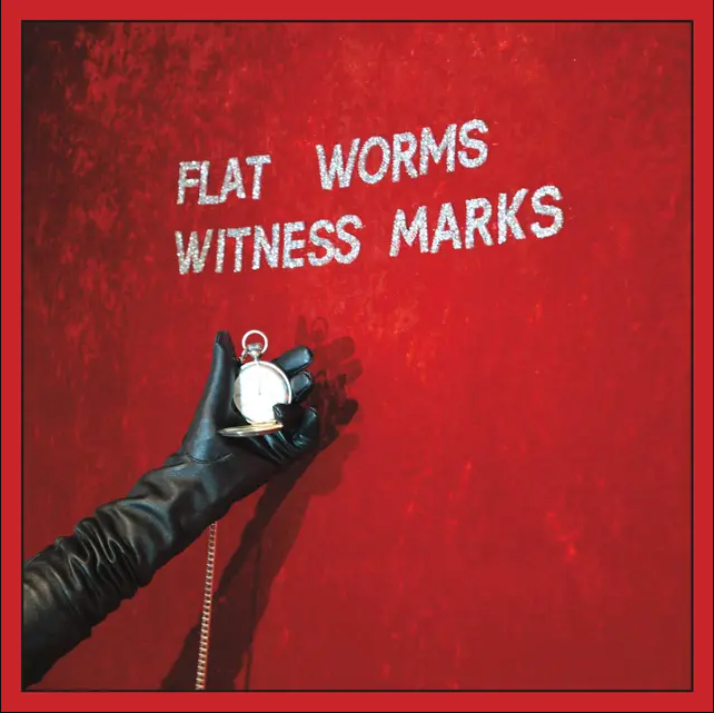 Flat Worms - Witness Marks | God? (GOD #029) - main Flat Worms - Witness Marks | God? (GOD #029) - main