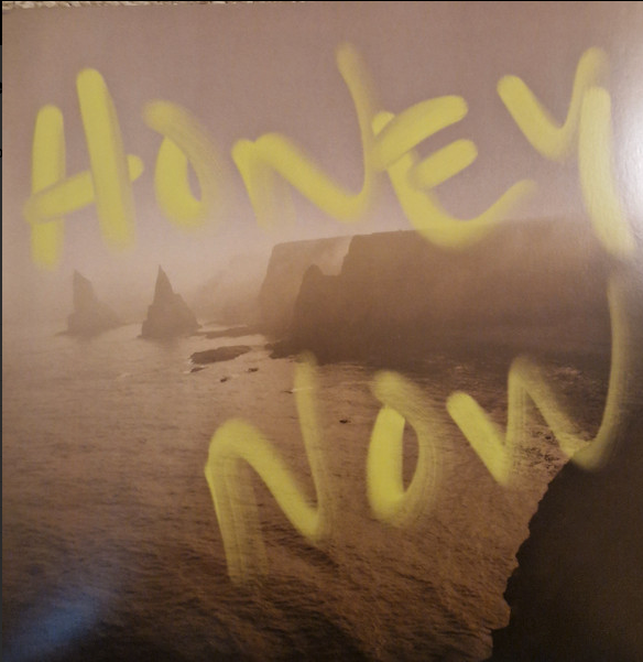 Neon Waltz - Honey Now | Fierce Panda (NONG138) - main