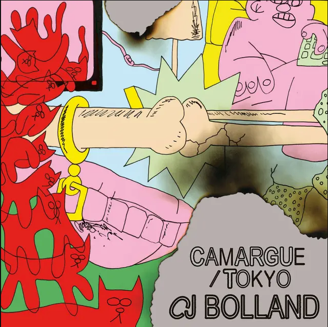 CJ Bolland - Camargue / Tokyo | Stroom (STR12-084)