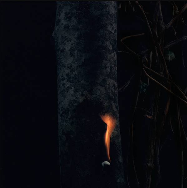 BZDB - Jump Ship, Sit Lean, Be Still, Stand Tall | AD 93 (WHYT081) - main BZDB - Jump Ship, Sit Lean, Be Still, Stand Tall | AD 93 (WHYT081) - main