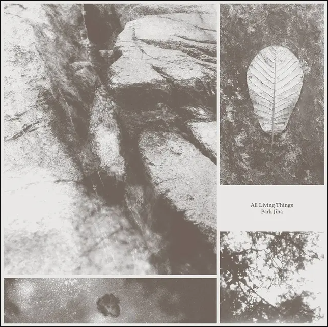 Park Jiha - All Living Things | Tak:til (GBLP 165)