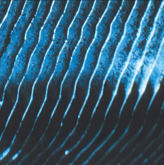 Monolake - Gravity | Field Records (Field 37) - main