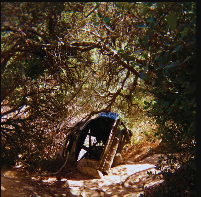 Ty Segall - Possession | Drag City (DC915)