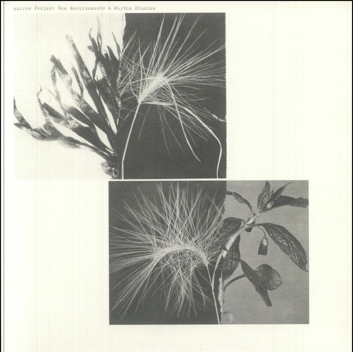 Andrew Pekler - New Environments & Rhythm Studies | Faitiche (faitiche 38)