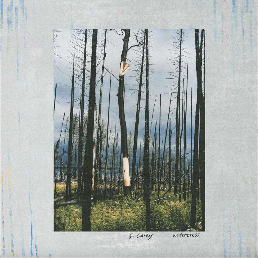 S. Carey - Watercress | Jagjaguwar (JAG472)