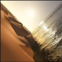 Mark Pritchard - Under The Sun | Warp Records (WARPLP244) - main