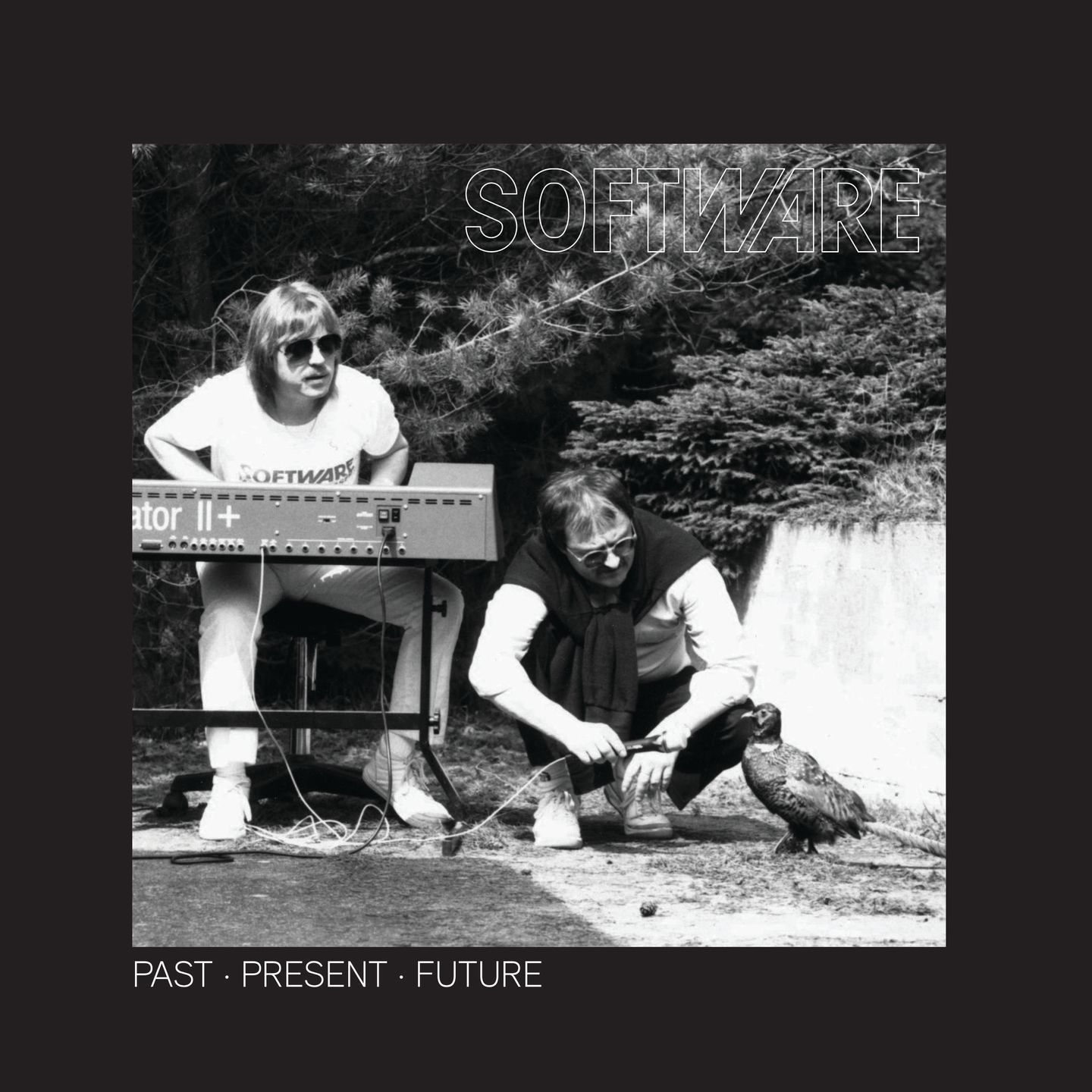 Software - Past • Present • Future | THANK YOU (THANKYOU022)