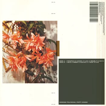 Polygonia  &  Popp - Candid | Squama (SQM022)