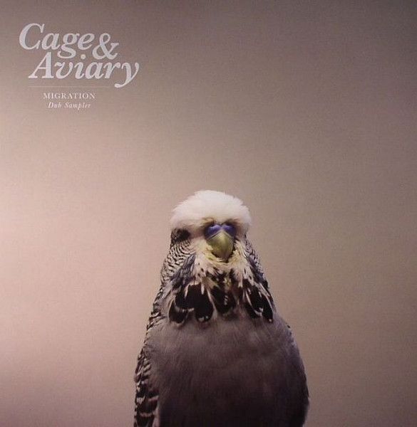 Cage & Aviary - Migration Dub Sampler | Internasjonal (INTC&A1) - main Cage & Aviary - Migration Dub Sampler | Internasjonal (INTC&A1) - main
