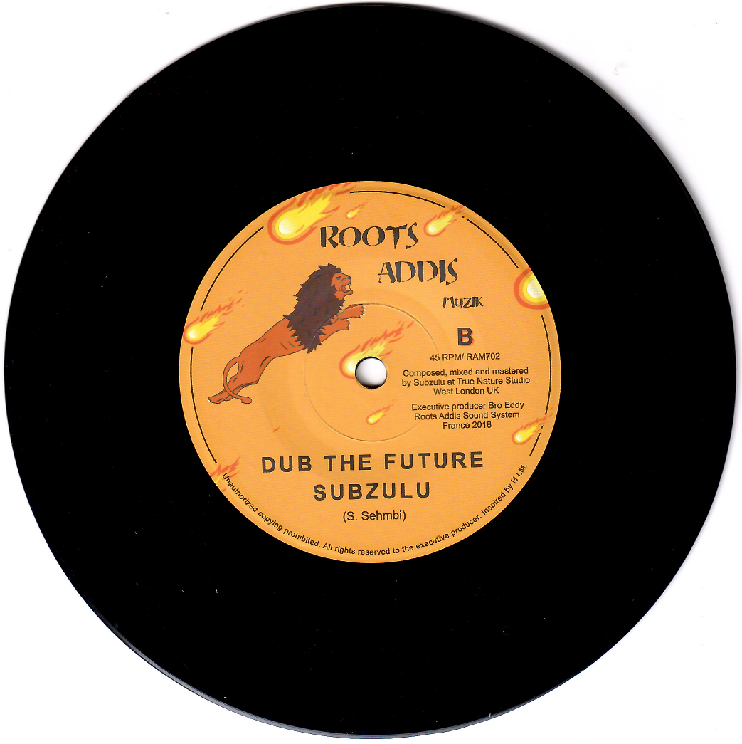 Subzulu - The Future | Roots Addis Muzik (RAM702) - 2