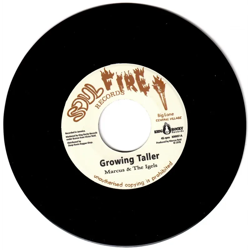 Marcus & The Igels - Growing Taller / Studio Works | King Rocky Records (KRR07) - main Marcus & The Igels - Growing Taller / Studio Works | King Rocky Records (KRR07) - main