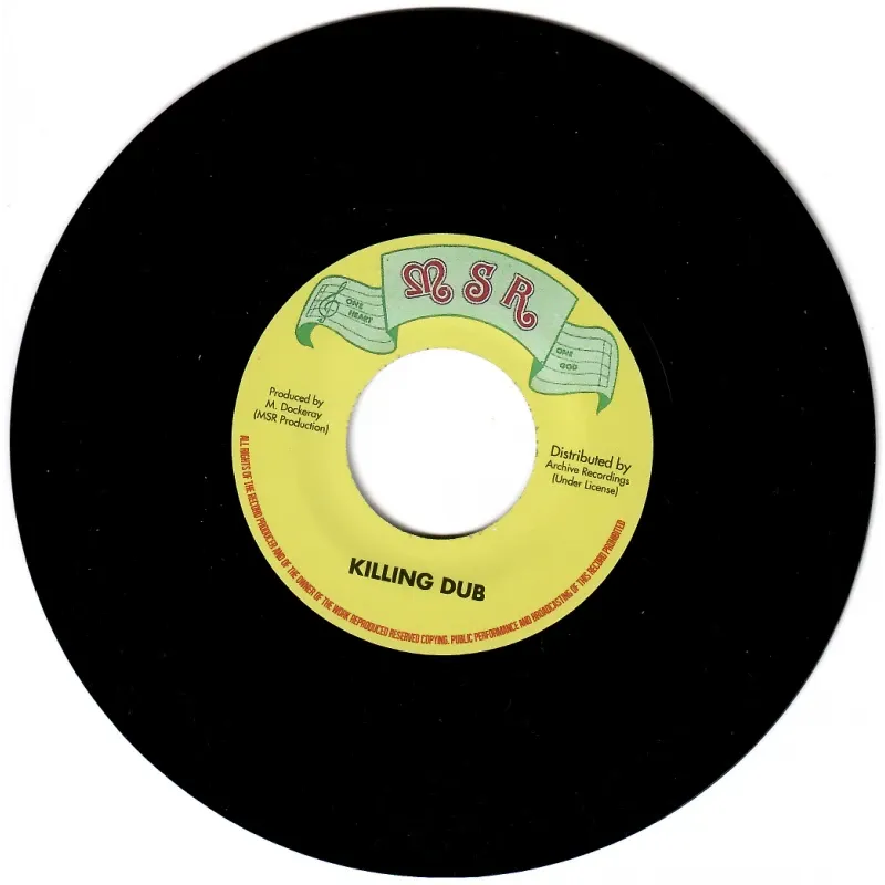 Ras Elroy Bailey - Stop The Killing | MSR (none) - 2