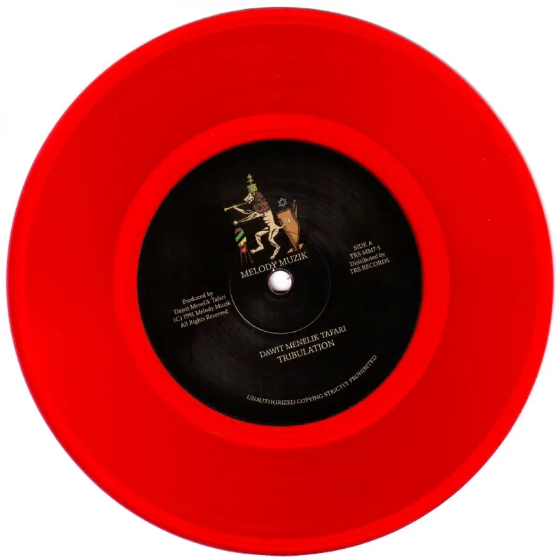 Dawit Menelik Tafari - Tribulation | Melody Muzik (TRS-MM7-5)