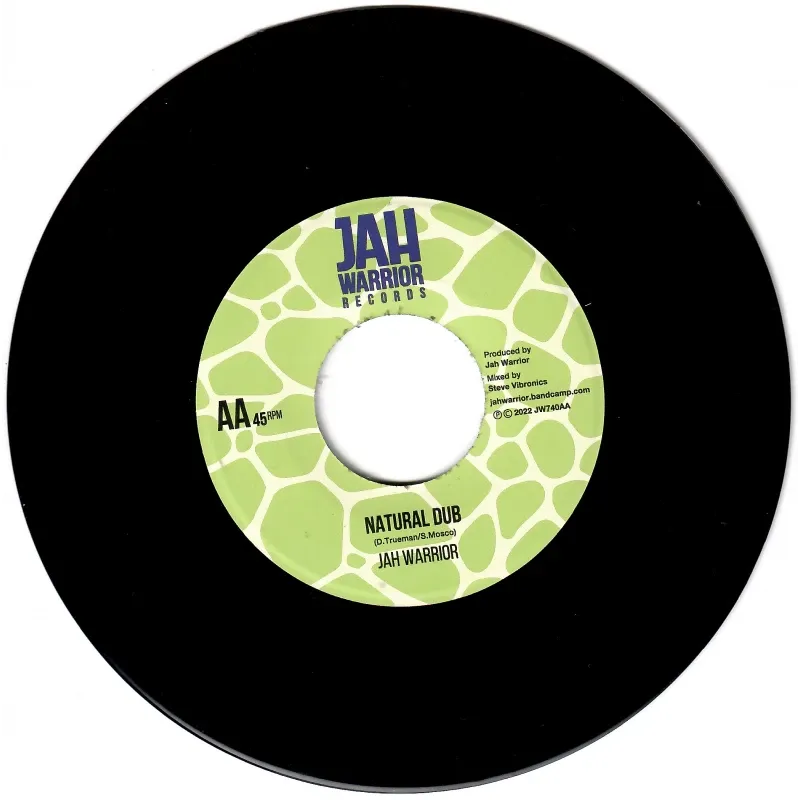 Ilodica - Natural Forces | Jah Warrior Records (JW740) - 2