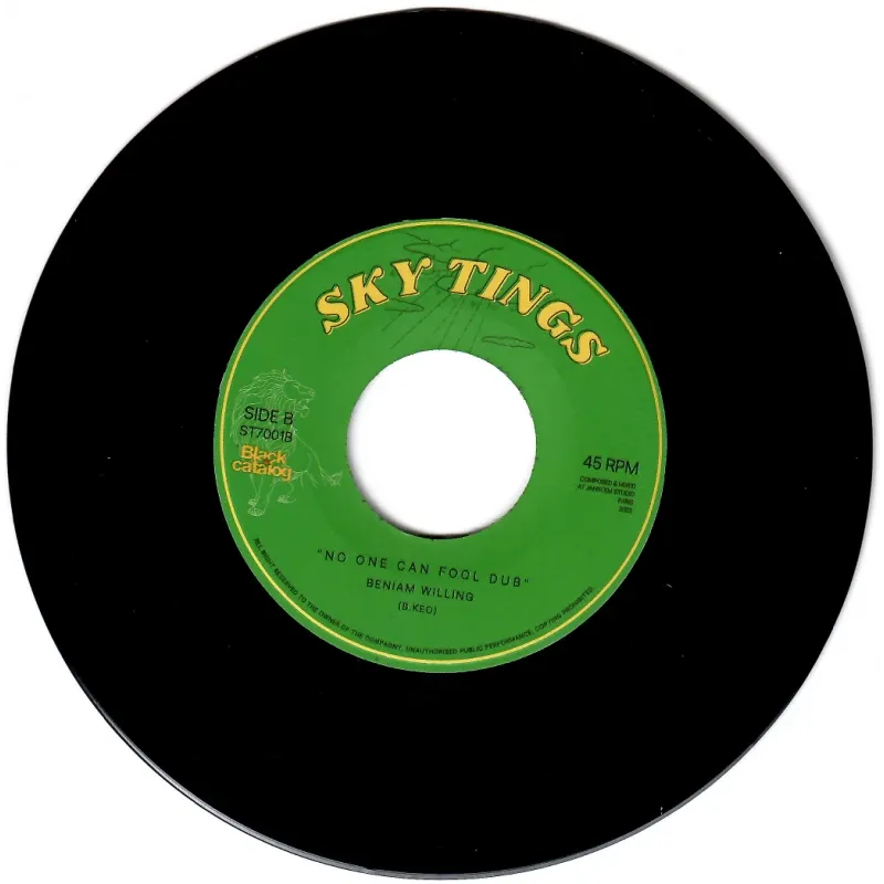 Beniam Willing - No One Can Fool I&I | Sky Tings (ST7001) - 2