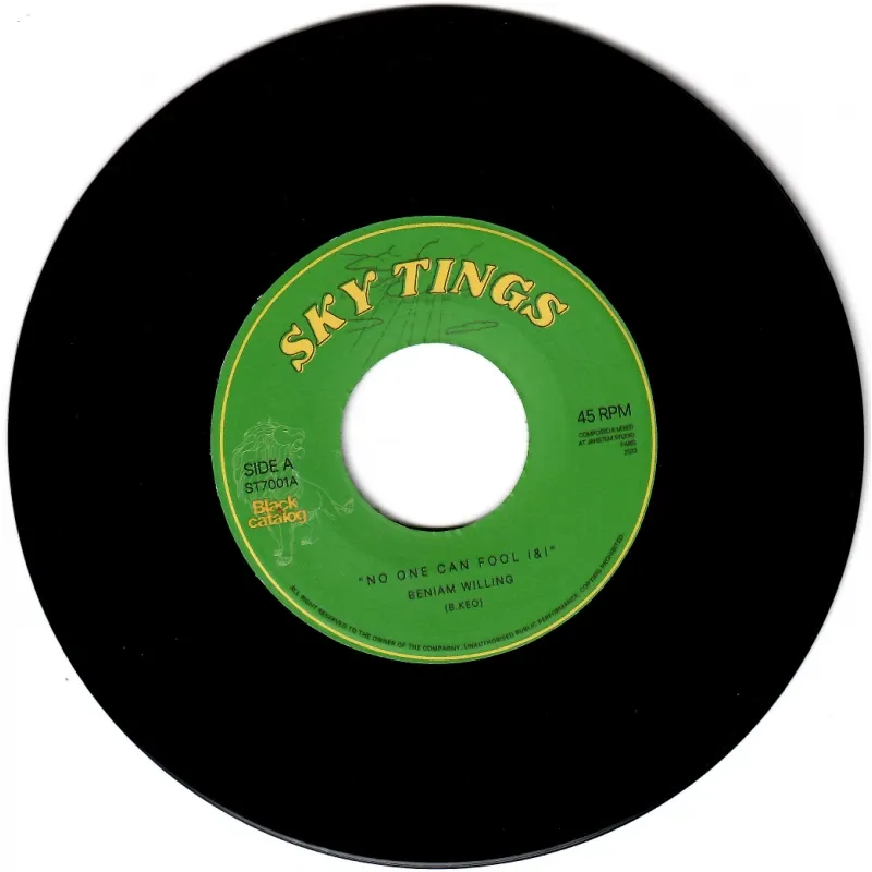 Beniam Willing - No One Can Fool I&I | Sky Tings (ST7001) - main