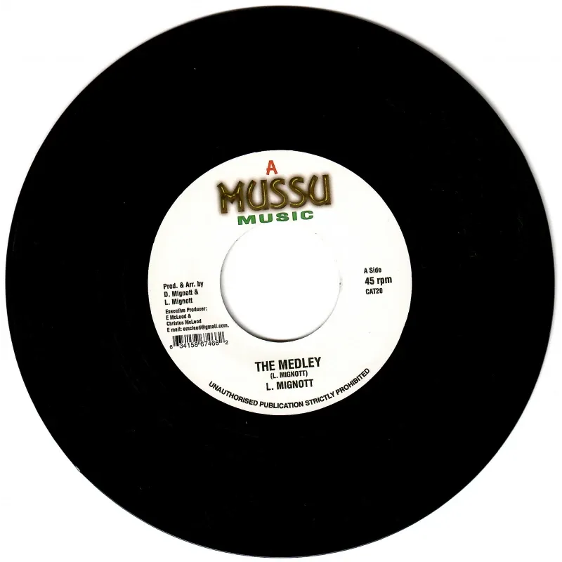 L. Mignot - The Medley | Amussu Music (CAT20)