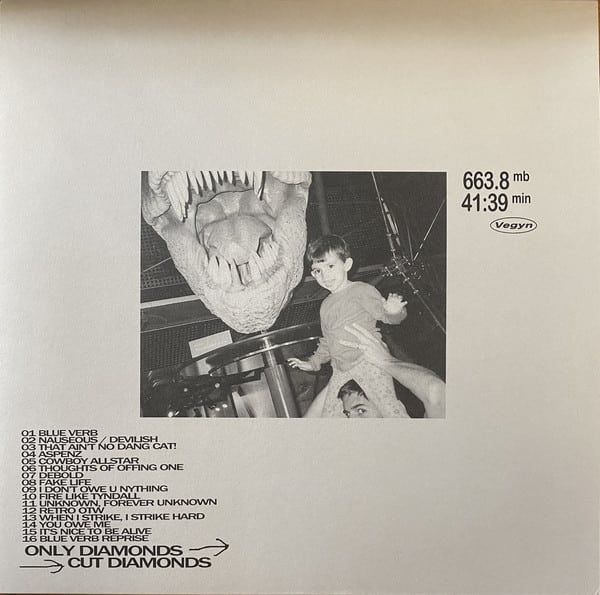 Vegyn - Only Diamonds Cut Diamonds | PLZ Make It Ruins (PLZ025LP5RT)