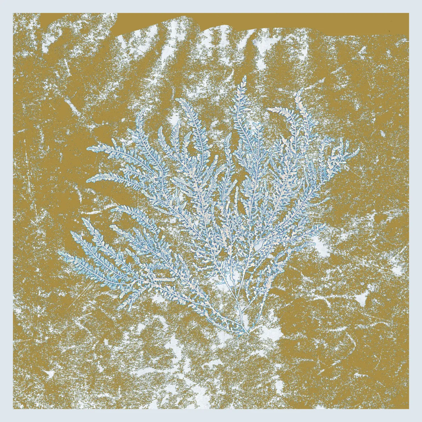 Huerco S. - For Those Of You Who Have Never (And Also Those Who Have) | Proibito (PRB018)