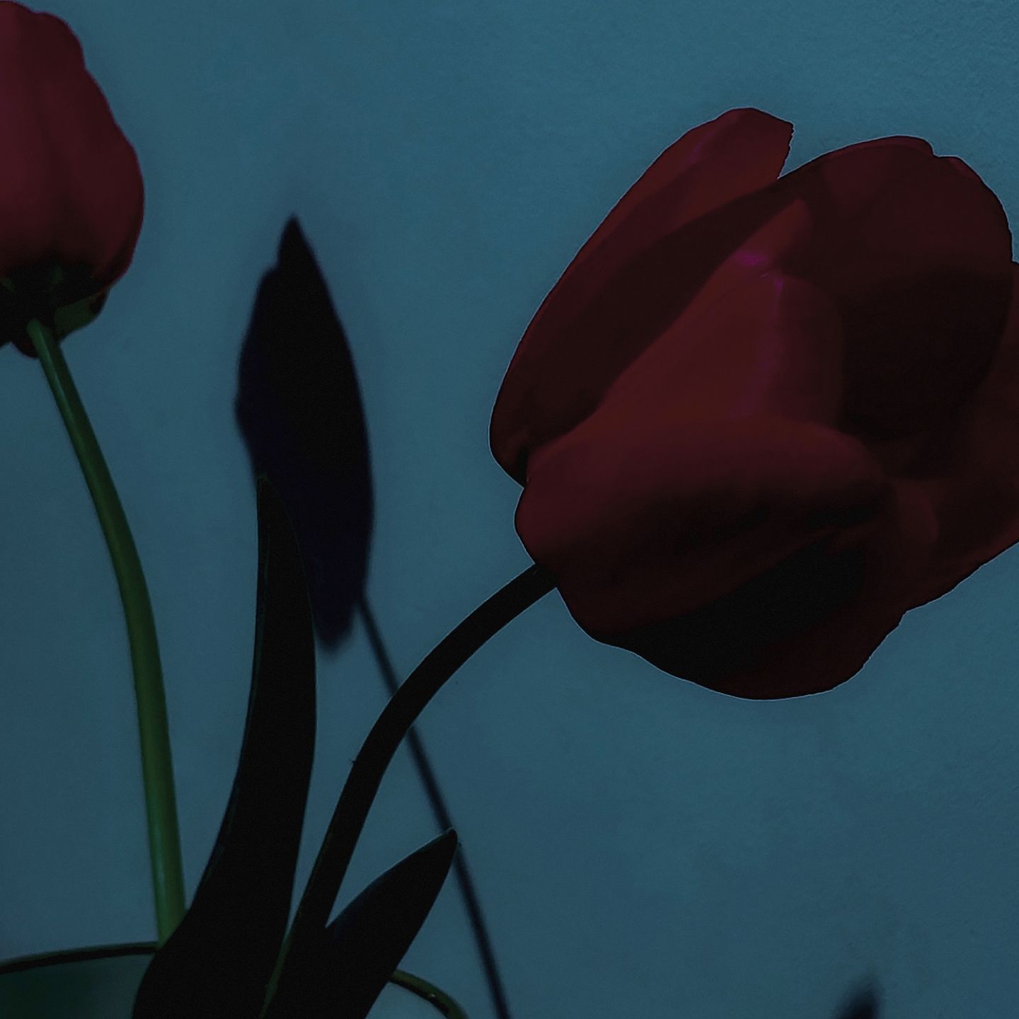 Various - A Model Kit | Platz Für Tanz (PFT2025V01) - main