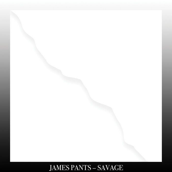James Pants - Savage | Stones Throw Records (STH2363) - main