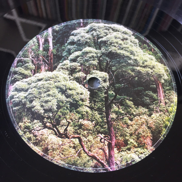 Good Morning Passengers