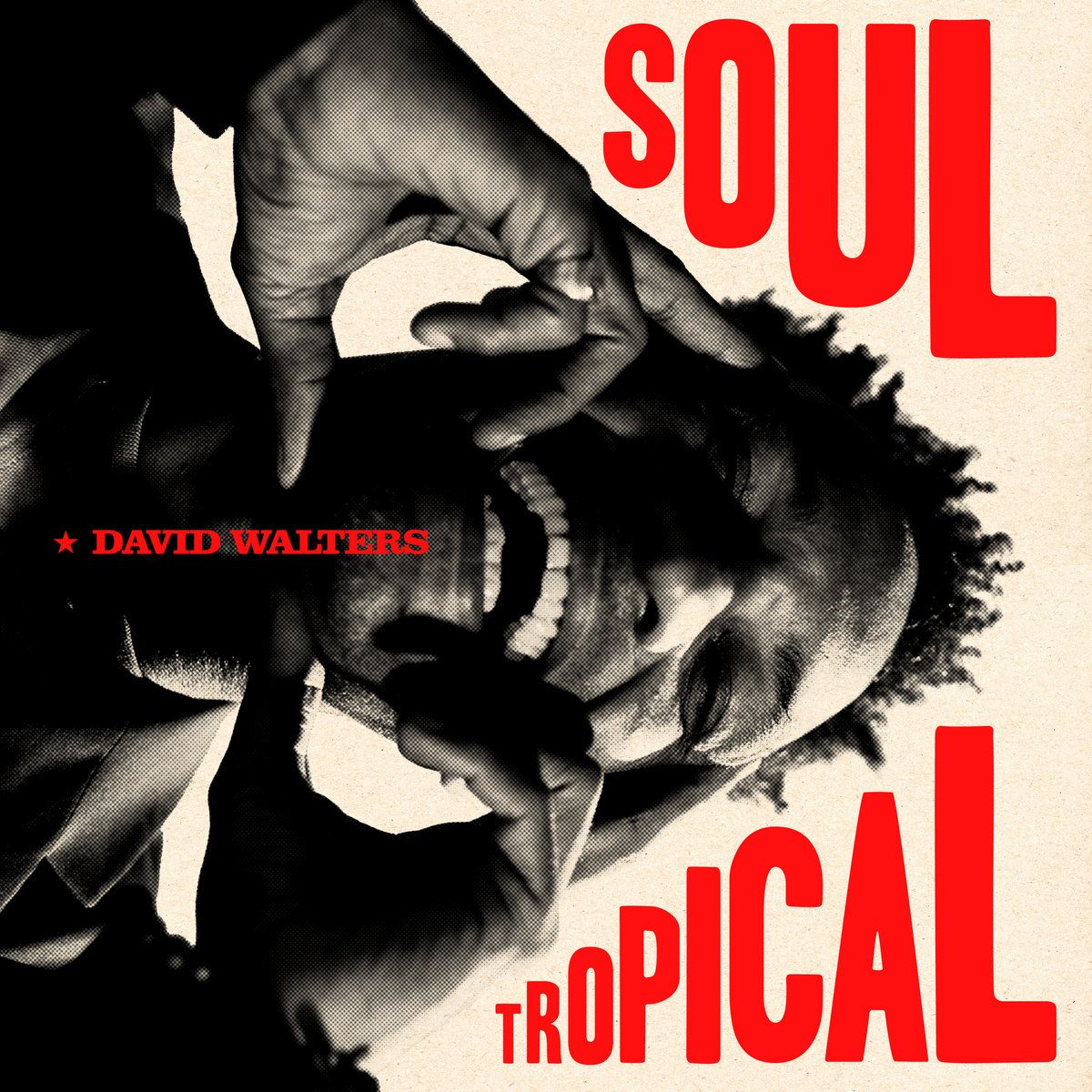 David Walters - Soul Tropical | Heavenly Sweetness (HS238VL)
