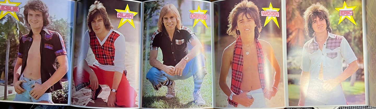 Bay City Rollers - Wouldn't You Like It? [Vinyl LP - 1st Japan Press - 1975 - IES-80450 - Mint/NM with Obi & Insert] Bubble Gum | Arista (IES-80450) - 8