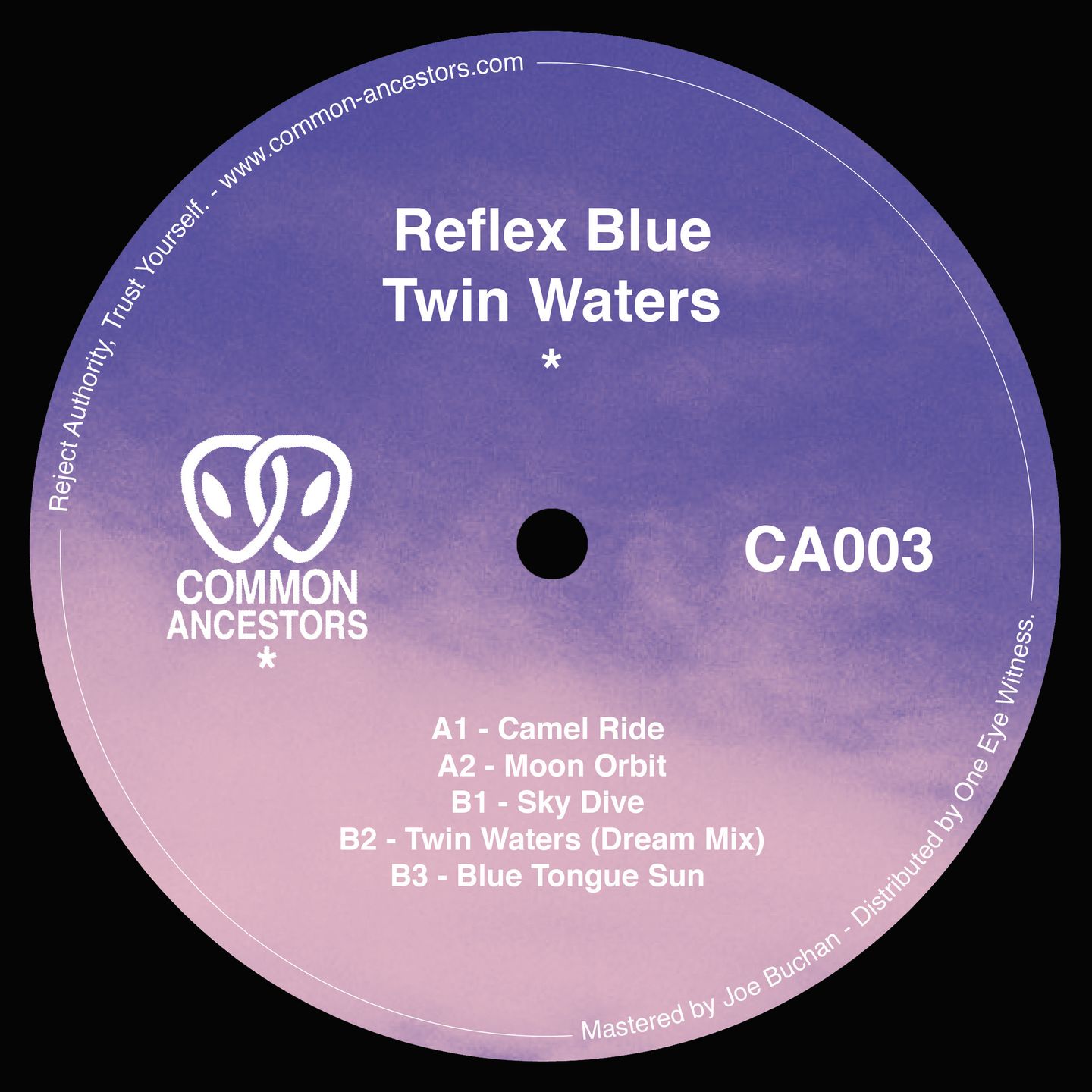 Reflex Blue - Twin Waters EP | Common Ancestors (CA003)