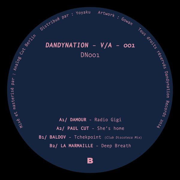 Various - Dandynation 001 | Dandynation Records (DN001) - main
