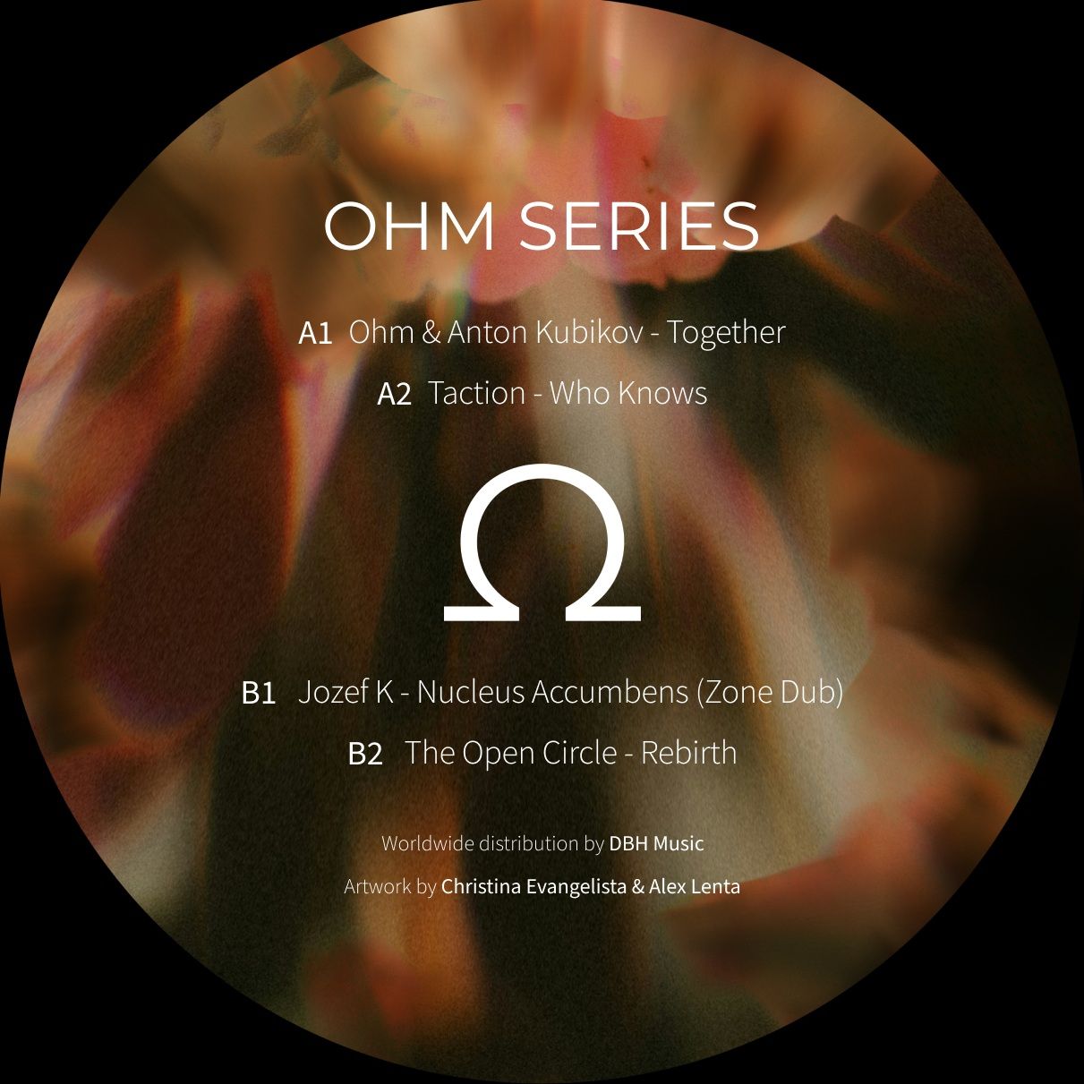 Various - Ohm Series 16 | OHM Series (OHM016)