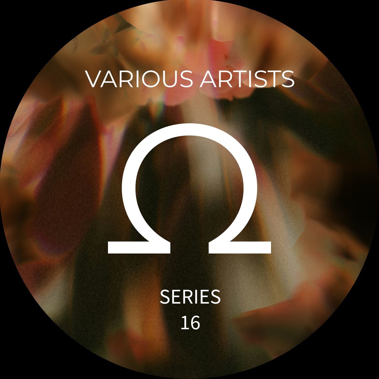 Various - Ohm Series 16 | OHM Series (OHM016) - 2