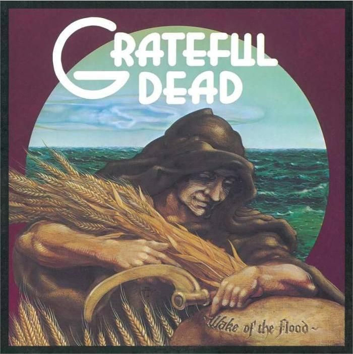 The Grateful Dead - Wake Of The Flood - Vinilo Picture | Rhino Records (RPD1 721382)