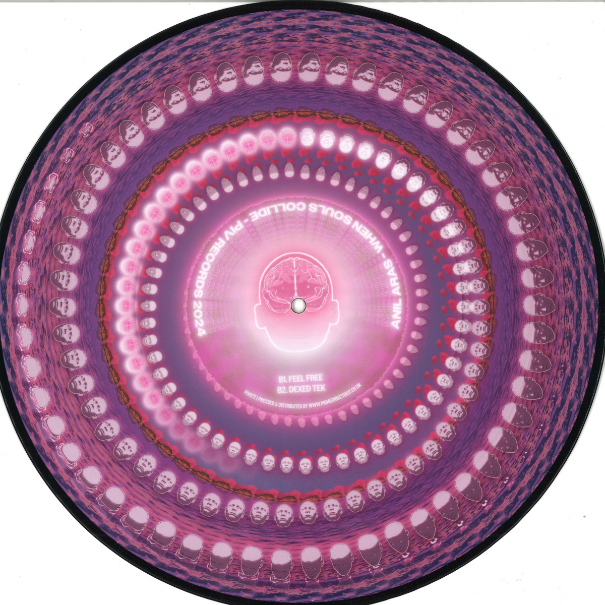 Anil Aras - When Souls Collide EP | PIV RECORDS (PIV072)