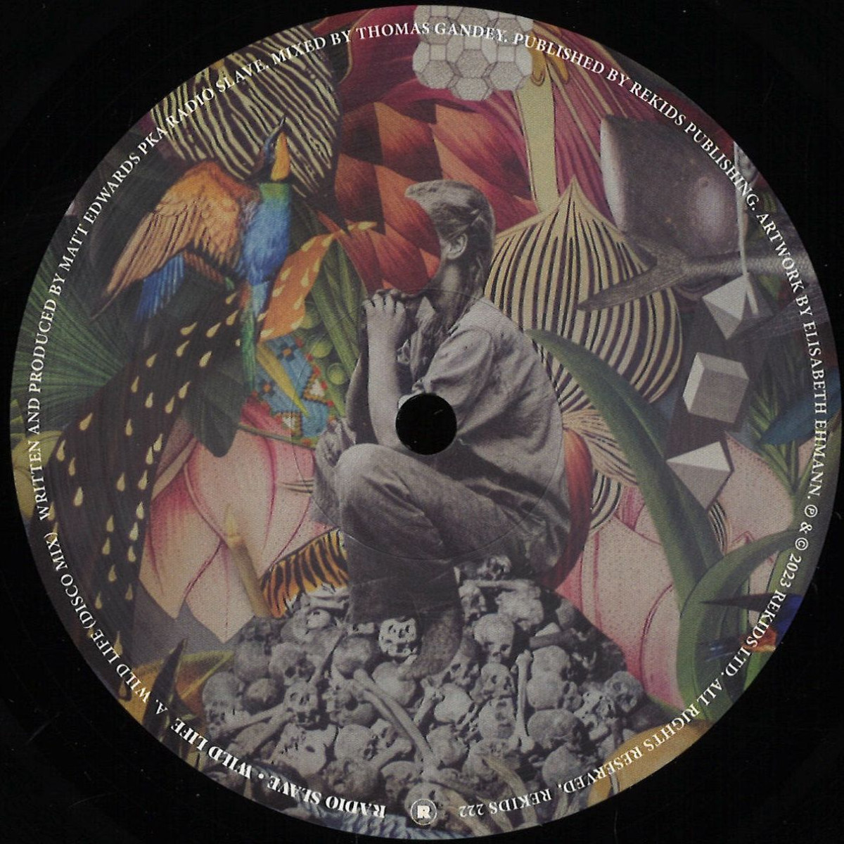 Radio Slave - Wild Life | Rekids (REKIDS222)