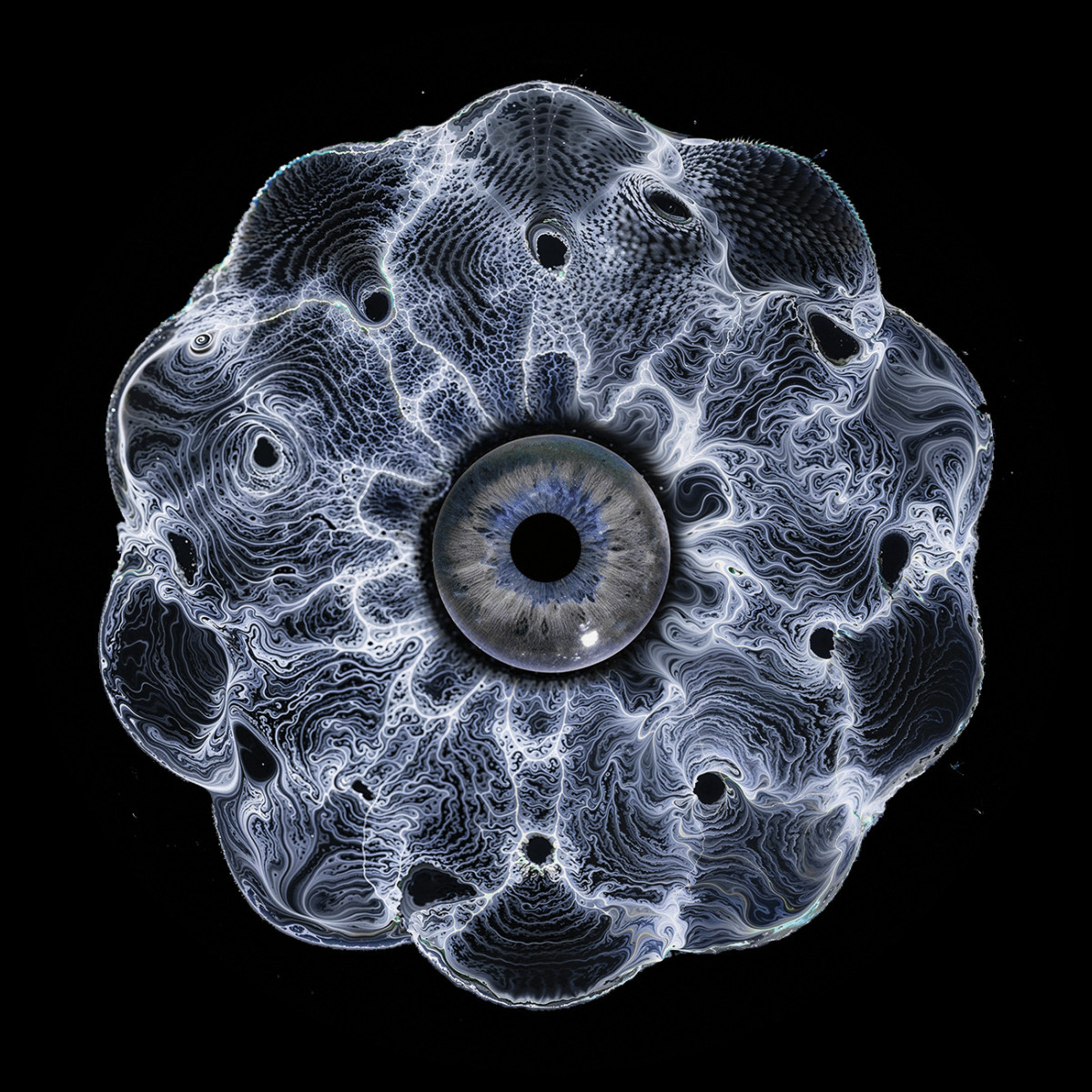 Vinyl Speed Adjust - Hypnotizin EP | Lok Records (LOKBLK002)