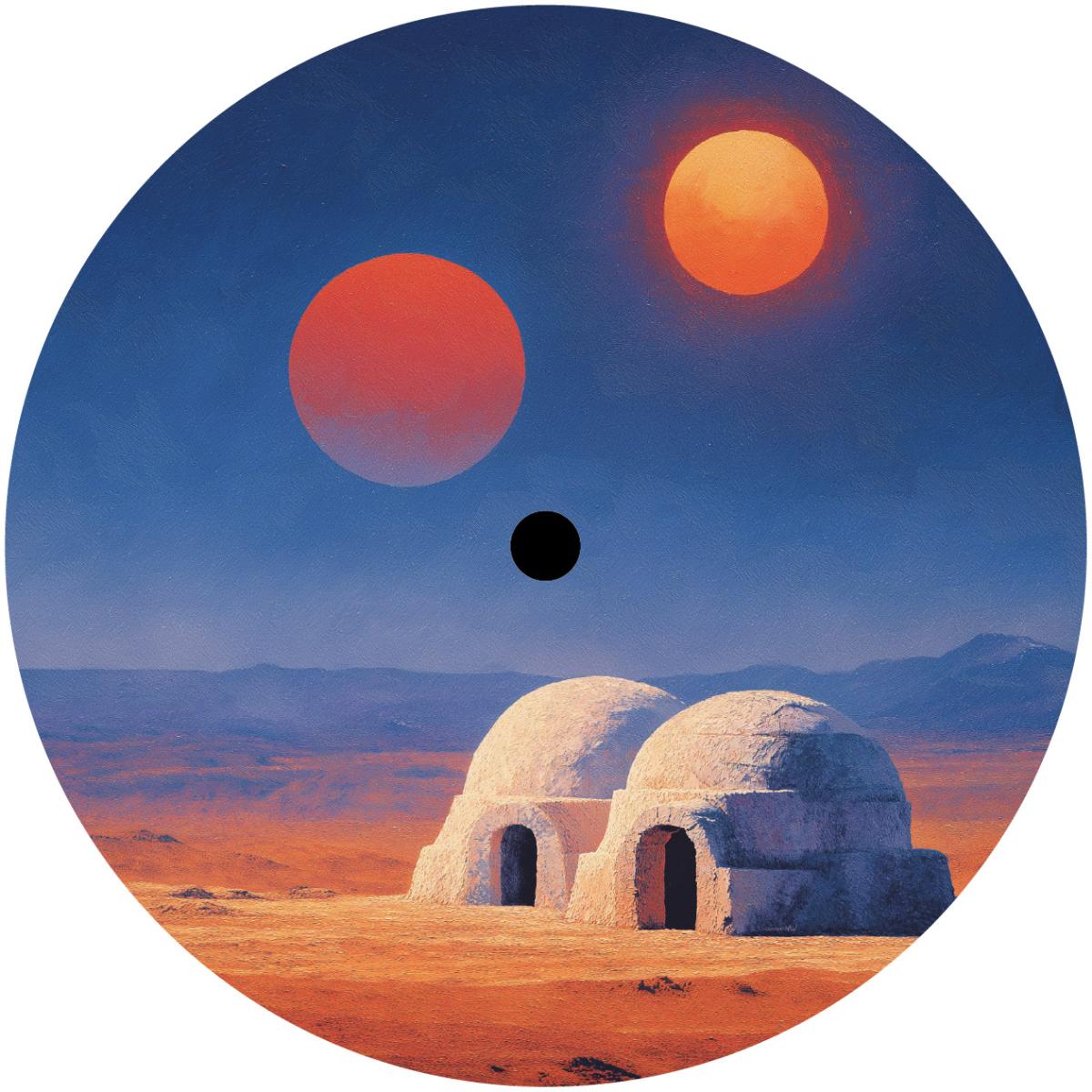 Various - Transient States. Feedback | MixCult Records (MCRV017)