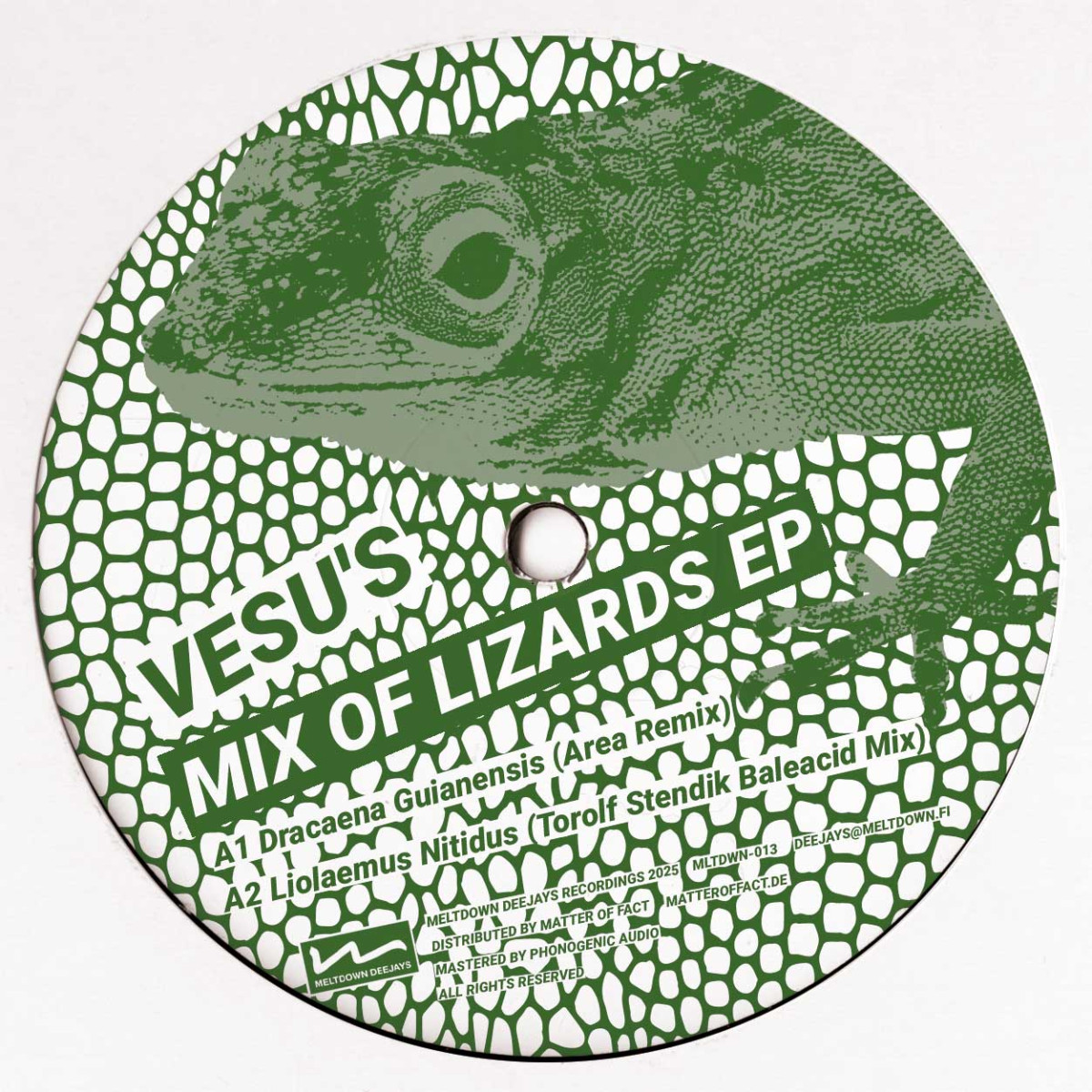 Vesu's - Mix Of Lizards EP | Meltdown Deejays (MLTDWN013) - main