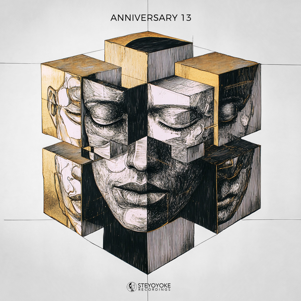 Various - SYYK270 2x12" | Steyoyoke (SYYK270) - main