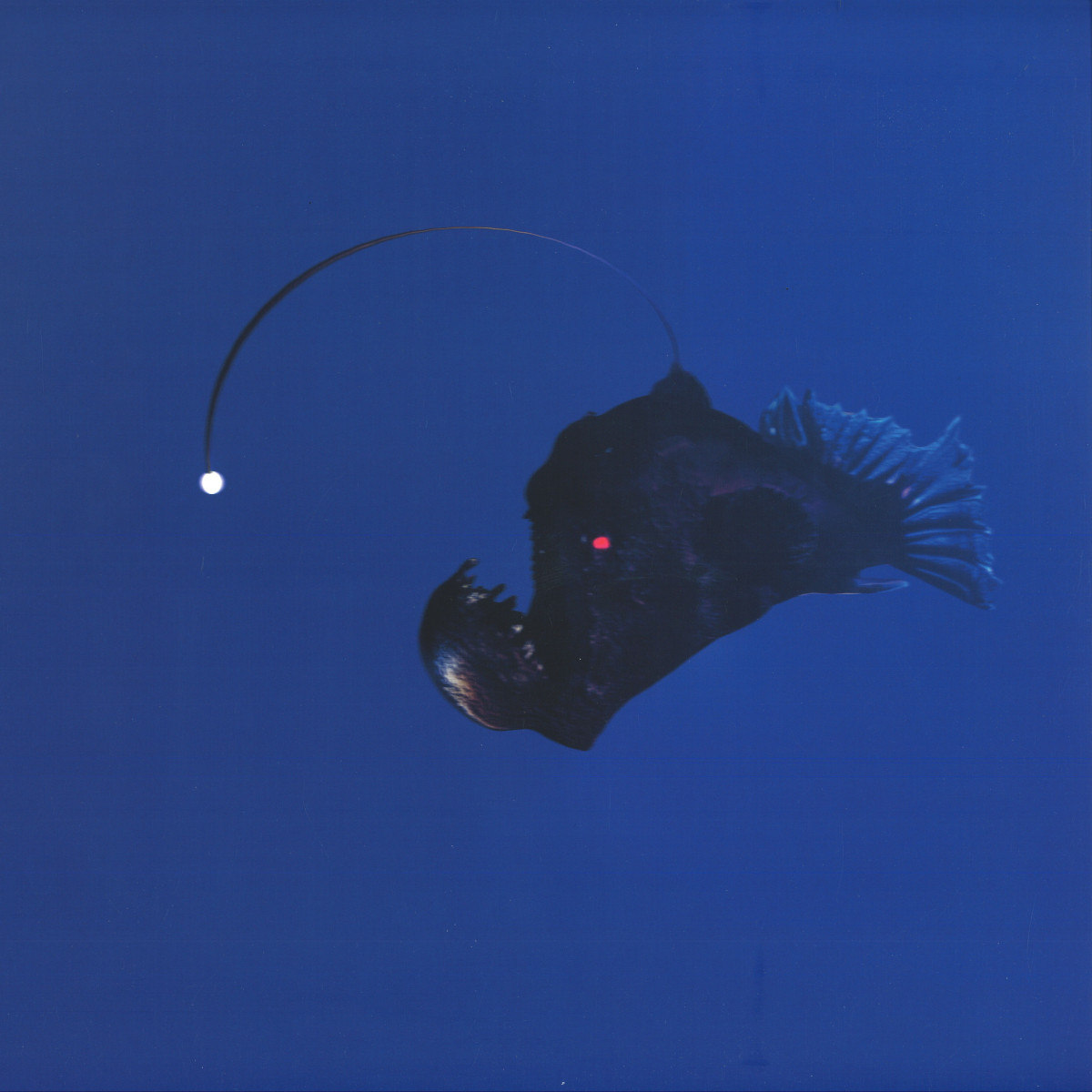 Michael Melchner - No Light Below | Omega Men (OMEN008) - main