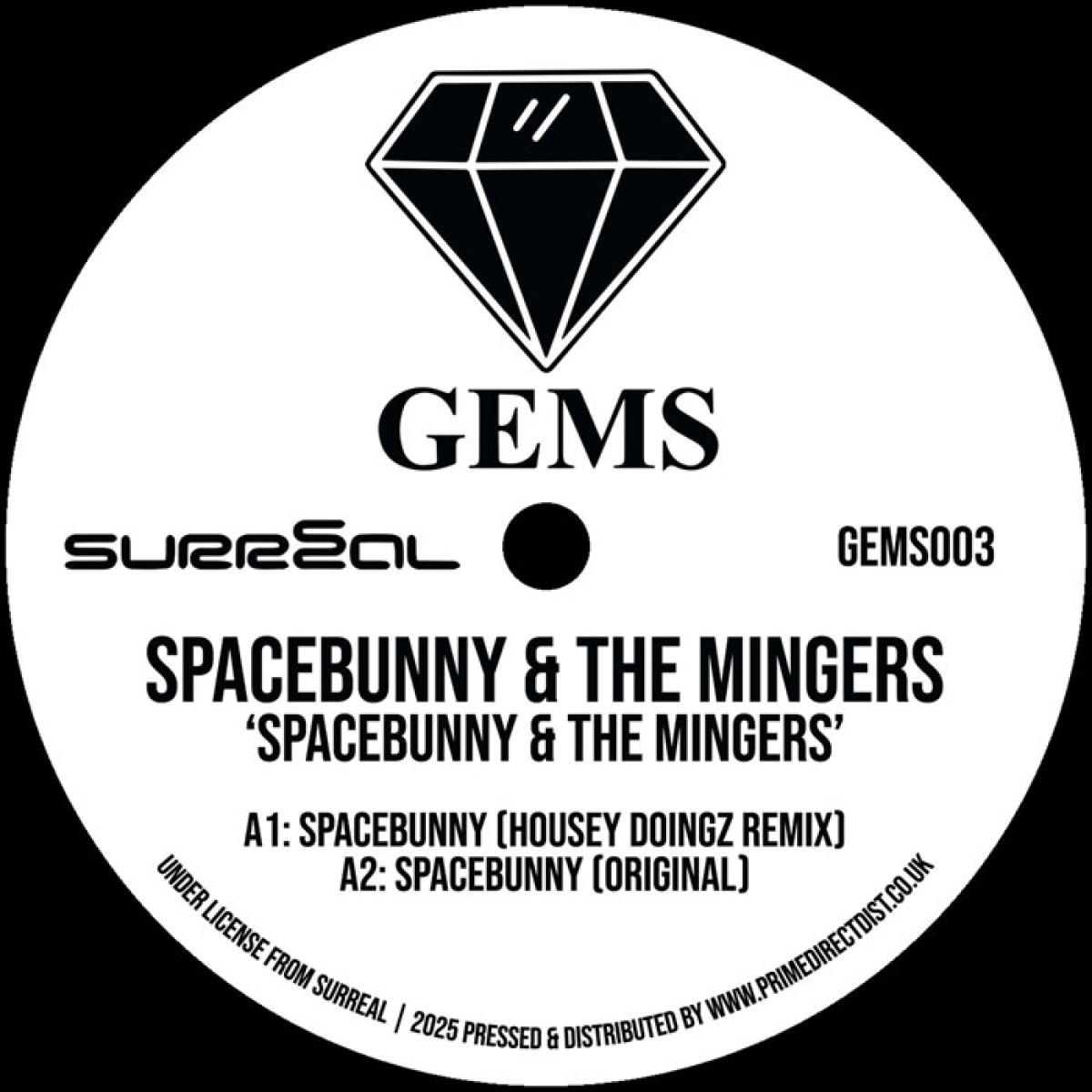 Spacebunny - Spacebunny / Fancy A Shag | GEMS (GEMS003) - main Spacebunny - Spacebunny / Fancy A Shag | GEMS (GEMS003) - main