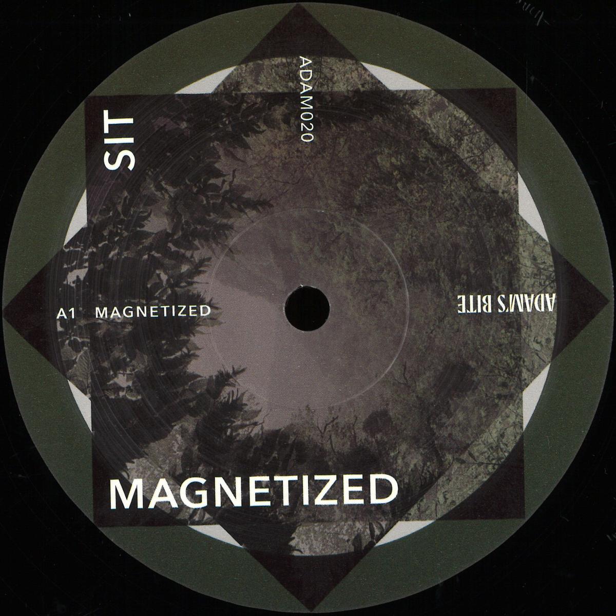 SIT - Magnetized | Adams Bite (ADAM020) - main SIT - Magnetized | Adams Bite (ADAM020) - main