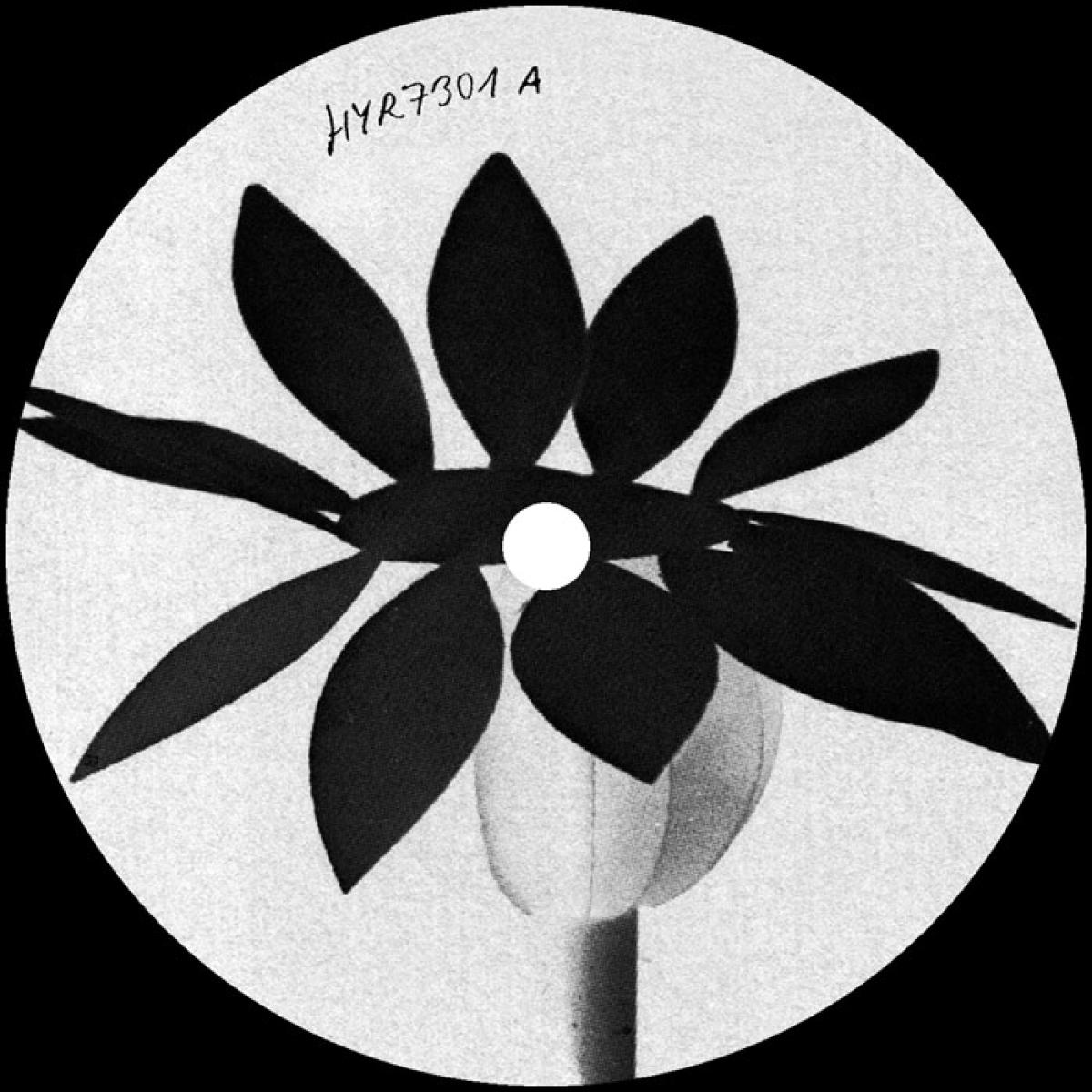 Nathan Dawidowicz - Fluff LP | Hell Yeah Recordings (HYR7301) - main Nathan Dawidowicz - Fluff LP | Hell Yeah Recordings (HYR7301) - main